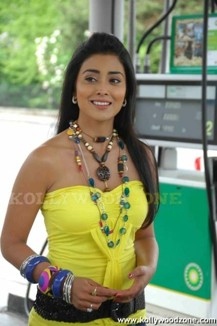 Sexy Shriya Saran In Don Seenu Movie Stills Kollywood Zone