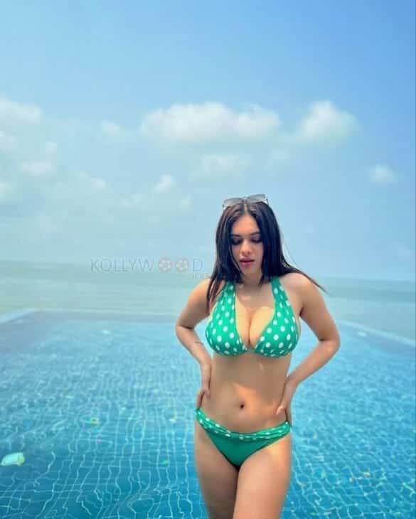 Hot Neha Malik Beach Bikini Photos 01 230521 Kollywood Zone