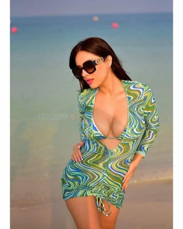 Punjabi Actress Neha Malik Sexy Hot Bikini Photos 01 221846