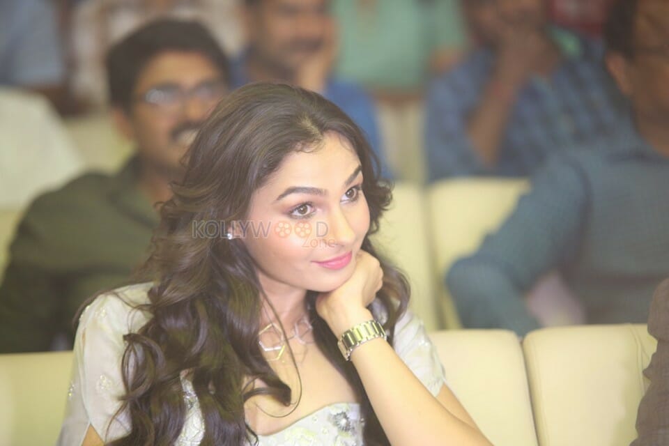 Actress Andrea Jeremiah At Vishwaroopam Audio Launch Photos