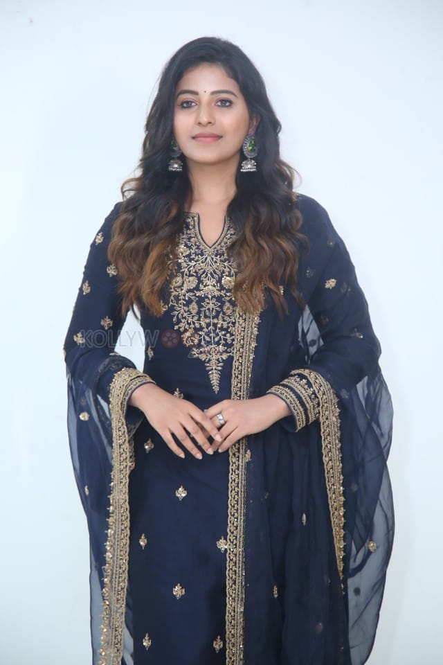 Actress Anjali at Bahishkarana Web Series Success Meet Pictures28