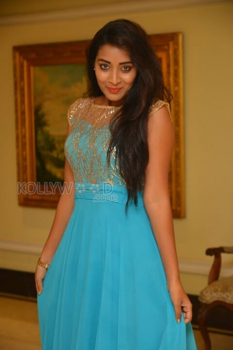 Actress Bhanu Sri New Pictures