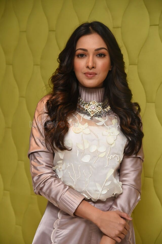 Actress Catherine Tresa At Vadaladu Movie Interview Photos