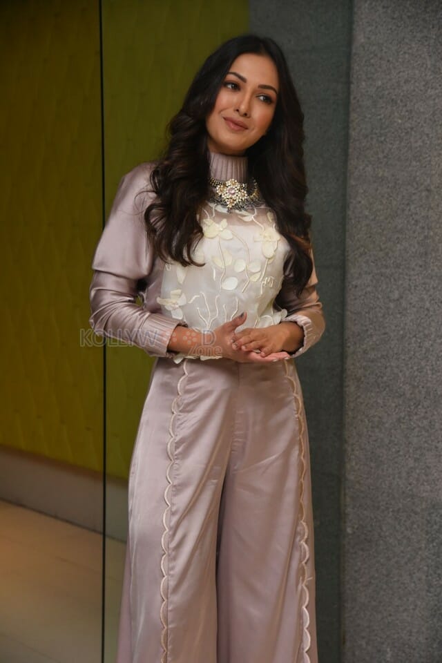 Actress Catherine Tresa At Vadaladu Movie Interview Photos