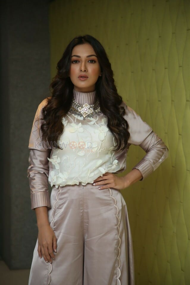 Actress Catherine Tresa At Vadaladu Movie Interview Photos