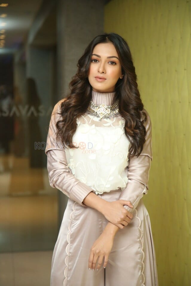 Actress Catherine Tresa At Vadaladu Movie Interview Photos