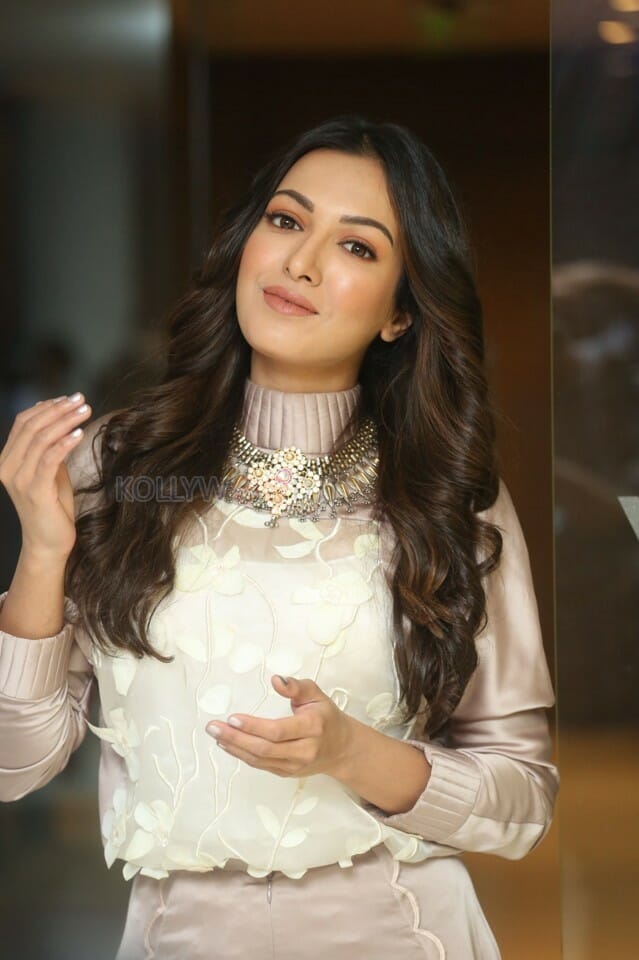 Actress Catherine Tresa At Vadaladu Movie Interview Photos