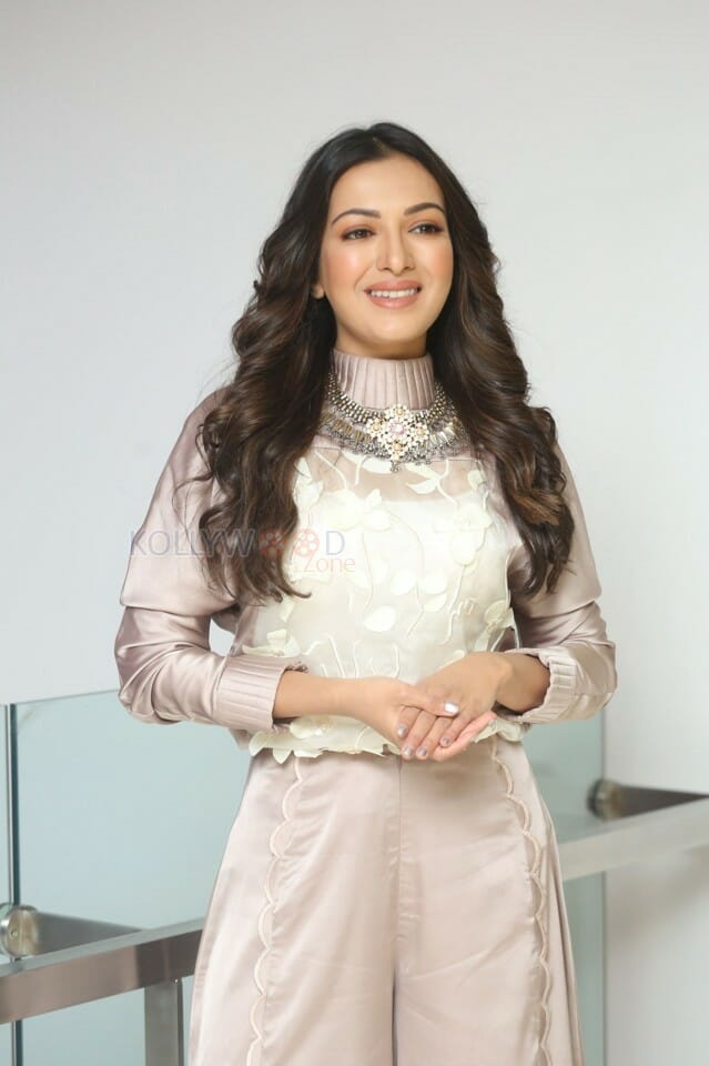 Actress Catherine Tresa At Vadaladu Movie Interview Photos