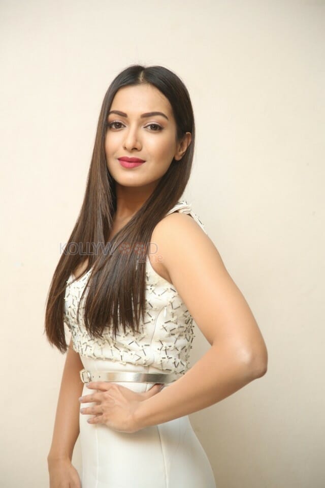 Actress Catherine Tresa At Vadaladu Movie Press Meet Photos