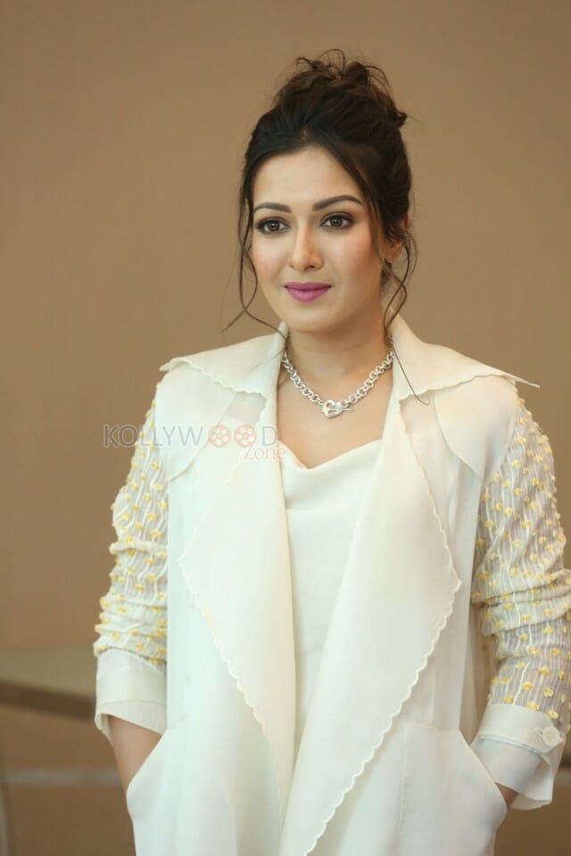 Actress Catherine Tresa At World Famous Lover Movie Trailer Launch Pictures