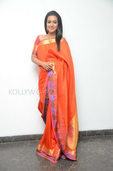 Actress Catherine Tresa Saree Pictures