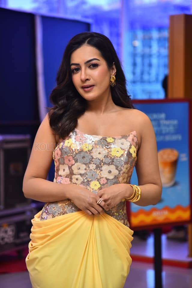 Actress Catherine Tresa at Phani Movie Press Meet Photos 03