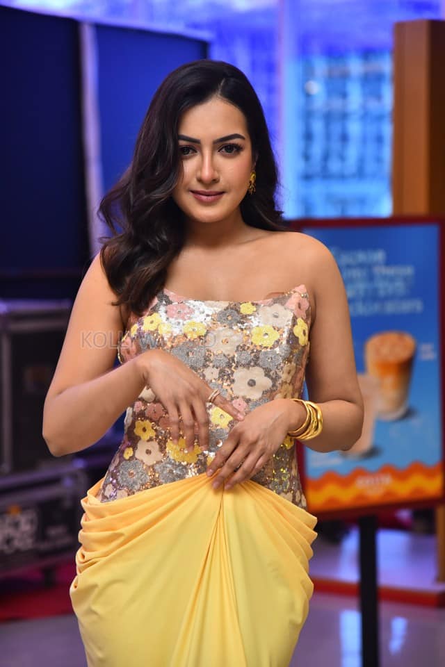 Actress Catherine Tresa at Phani Movie Press Meet Photos 04