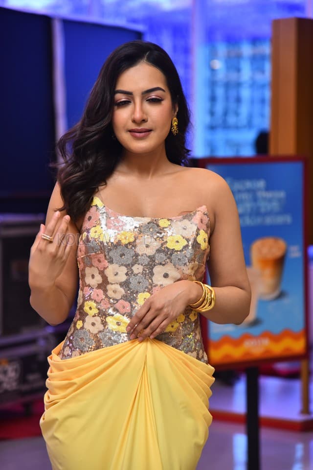 Actress Catherine Tresa at Phani Movie Press Meet Photos 06