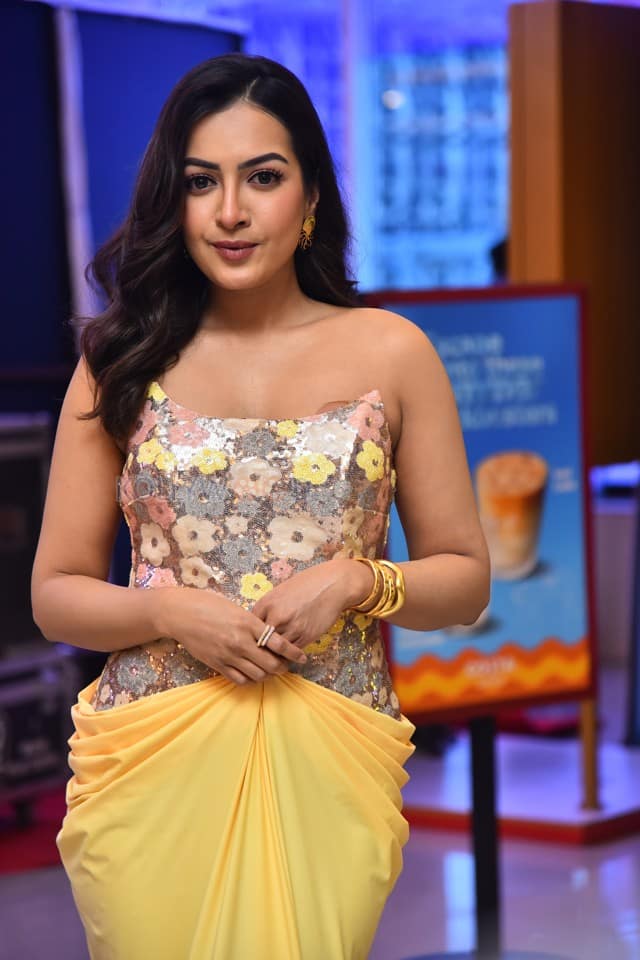Actress Catherine Tresa at Phani Movie Press Meet Photos 07