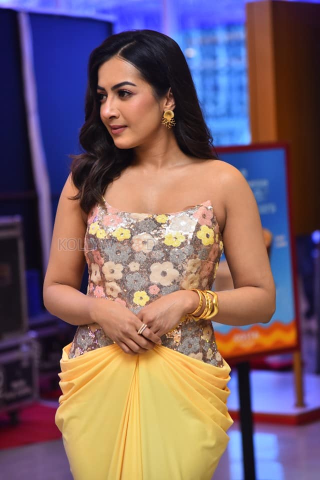 Actress Catherine Tresa at Phani Movie Press Meet Photos 10