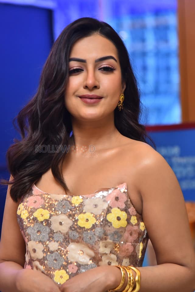Actress Catherine Tresa at Phani Movie Press Meet Photos 12