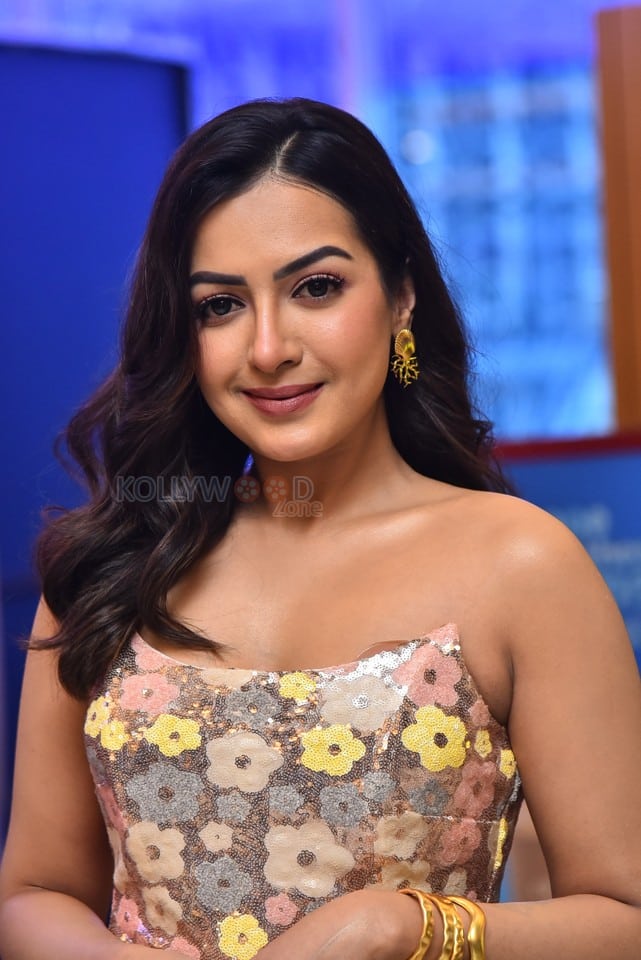 Actress Catherine Tresa at Phani Movie Press Meet Photos 13