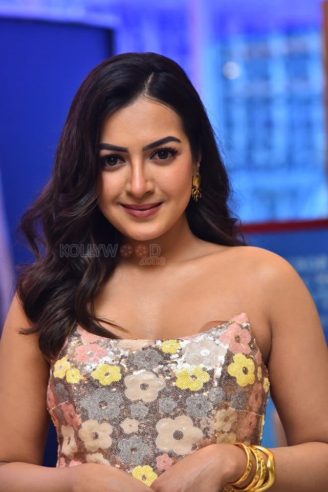 Actress Catherine Tresa at Phani Movie Press Meet Photos 14