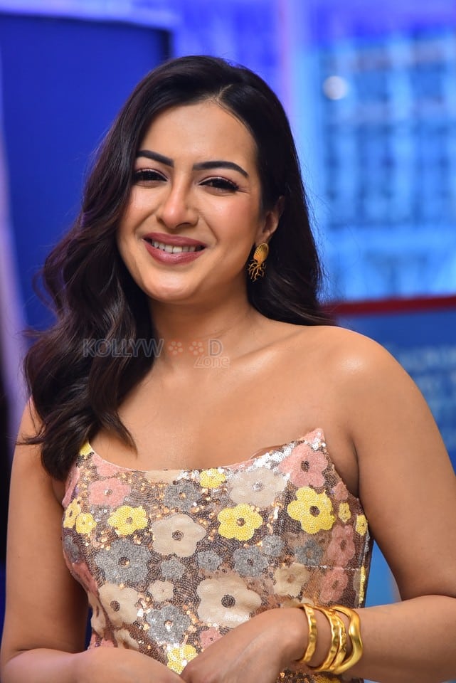 Actress Catherine Tresa at Phani Movie Press Meet Photos 15
