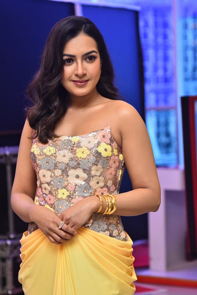 Actress Catherine Tresa at Phani Movie Press Meet Photos 17