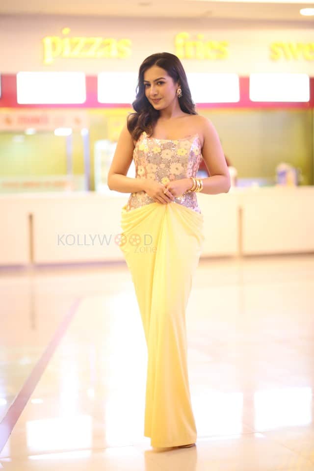 Actress Catherine Tresa at Phani Movie Press Meet Photos 28