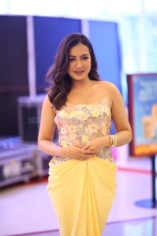 Actress Catherine Tresa at Phani Movie Press Meet Photos 29