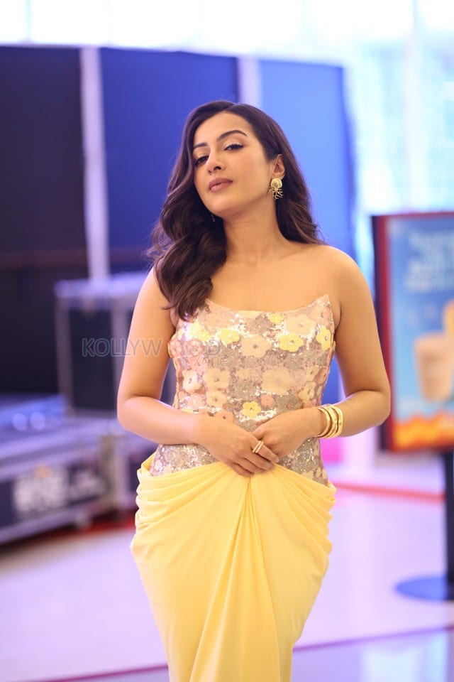 Actress Catherine Tresa at Phani Movie Press Meet Photos 30