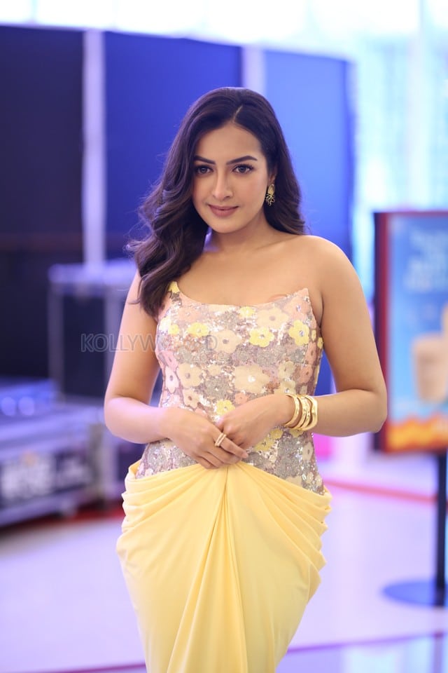 Actress Catherine Tresa at Phani Movie Press Meet Photos 31
