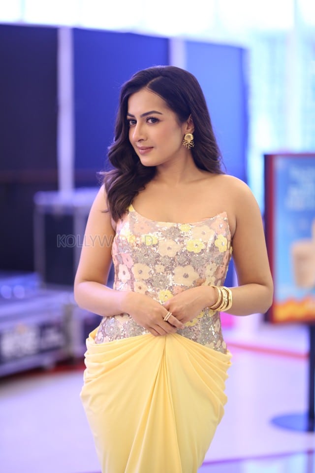 Actress Catherine Tresa at Phani Movie Press Meet Photos 32