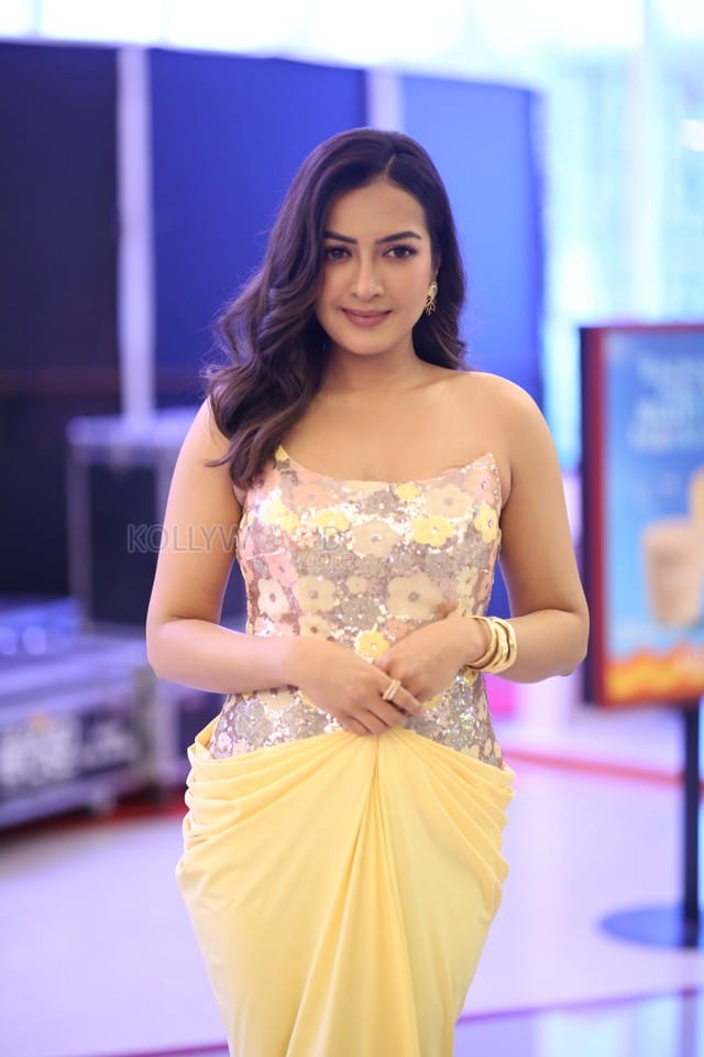 Actress Catherine Tresa at Phani Movie Press Meet Photos 33