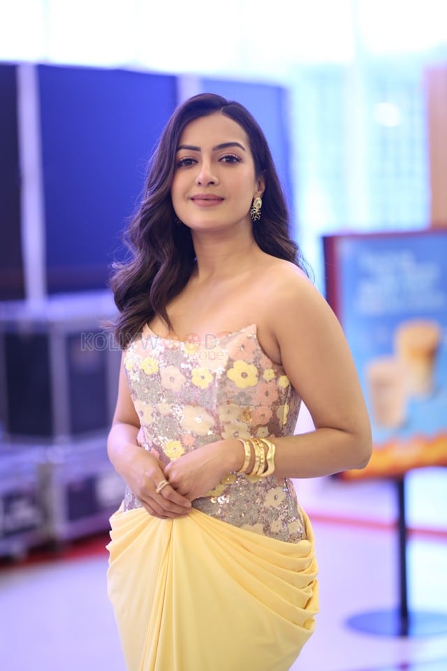 Actress Catherine Tresa at Phani Movie Press Meet Photos 36