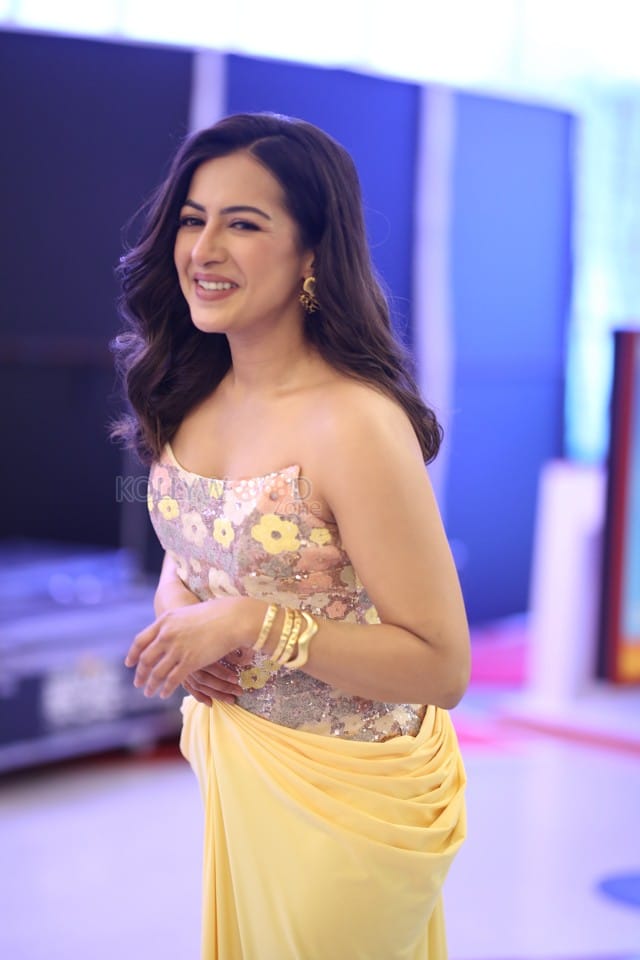 Actress Catherine Tresa at Phani Movie Press Meet Photos 39