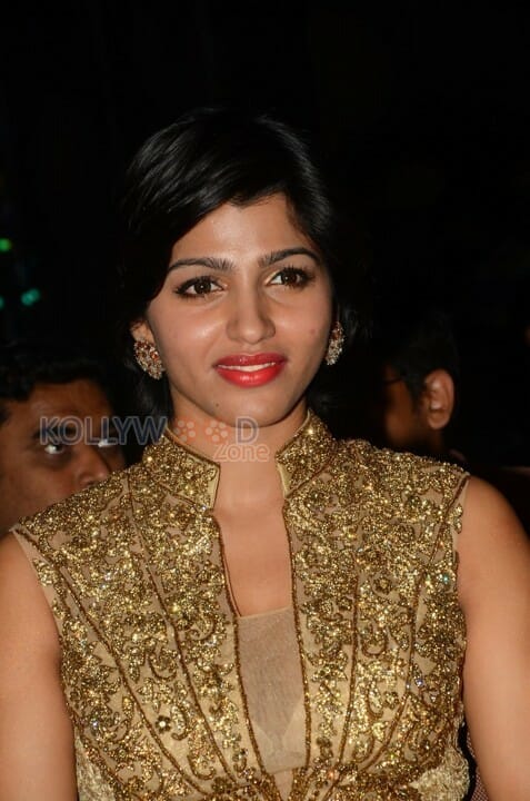 Actress Dhansika New Photos