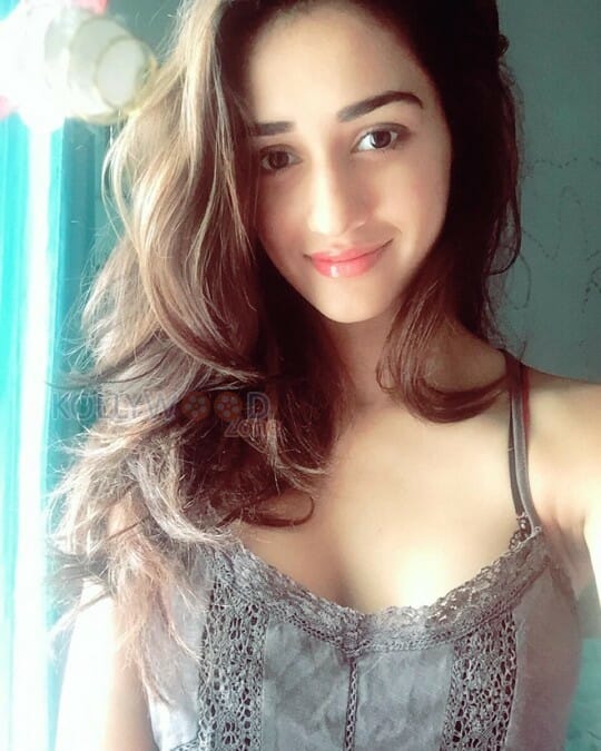 Actress Disha Patani Hot Sexy Photos