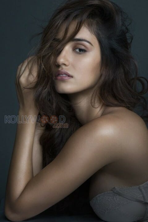 Actress Disha Patani Hot Sexy Photos