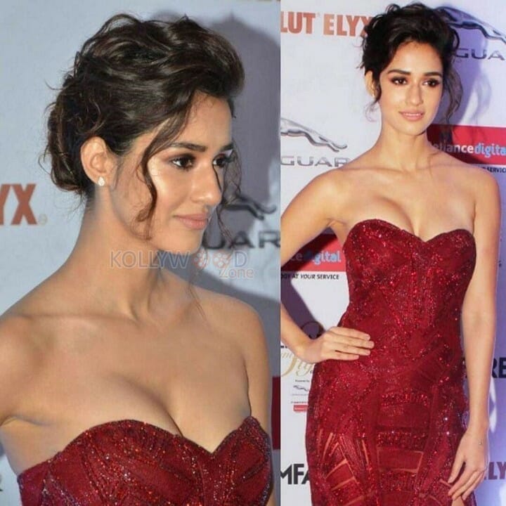 Actress Disha Patani Hot Spicy Photos