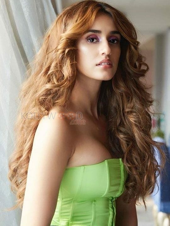 Actress Disha Patani Sexy Cleavage Pictures