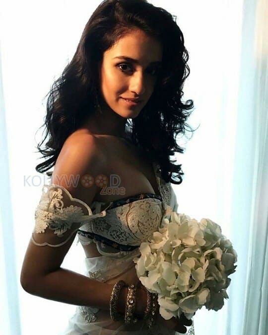 Actress Disha Patani Sexy Pictures