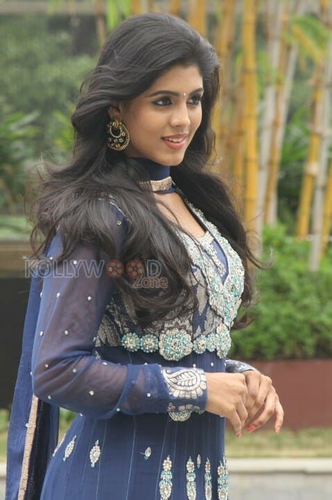 Actress Iniya At Karaioram Press Meet Pictures