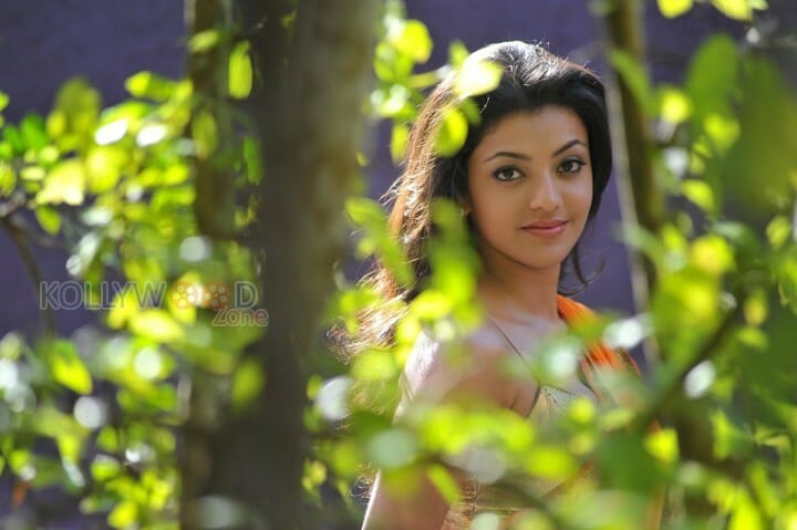 Actress Kajal Hot Photos