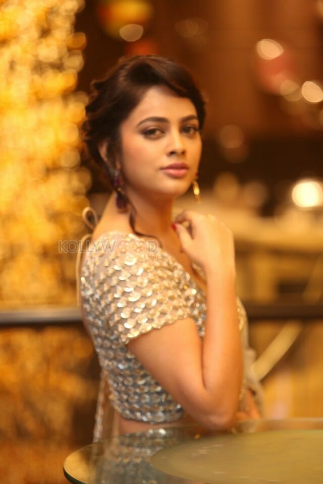 Actress Nandita Swetha At Srinivasa Kalyanam Success Meet Photos