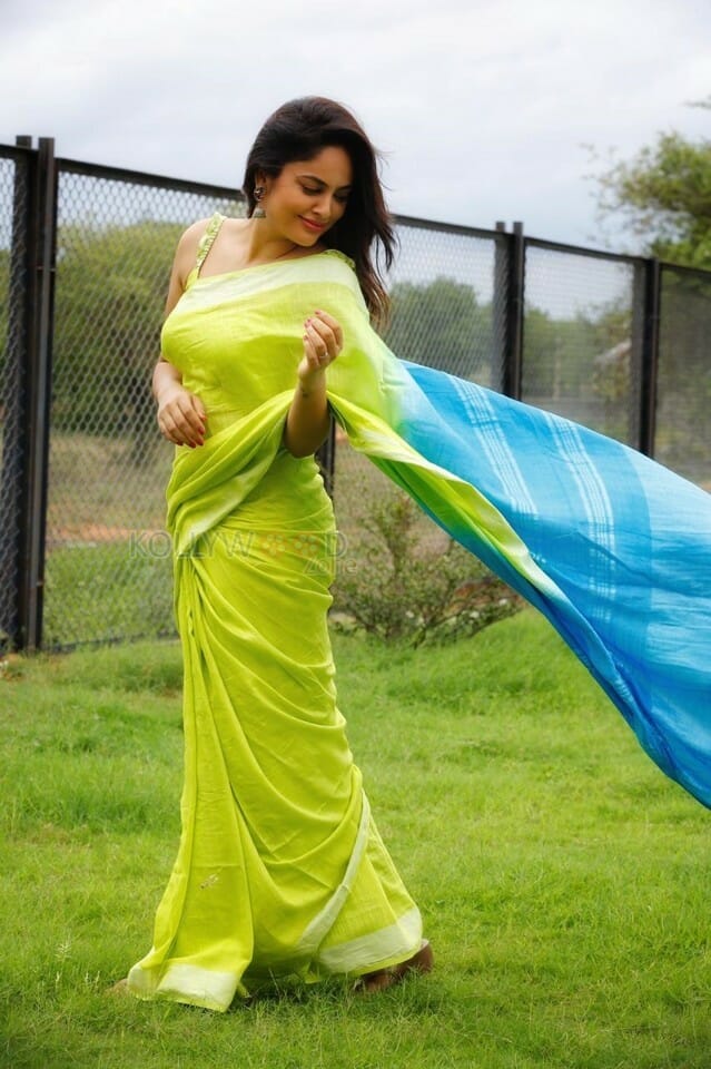 Actress Nandita Swetha Green Saree Photos