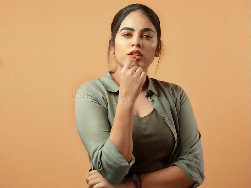 Actress Nandita Swetha Photo Shoot Stills