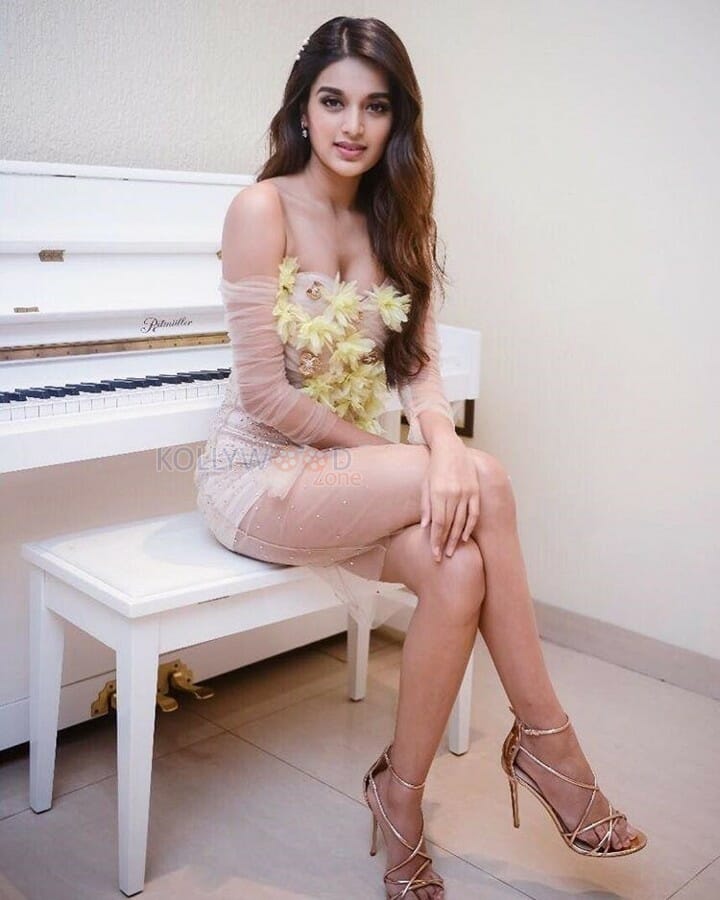 Actress Nidhhi Agerwal Sexy Cleavage Photos