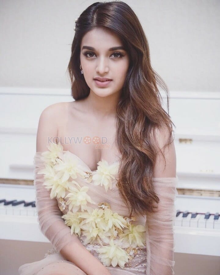 Actress Nidhhi Agerwal Sexy Cleavage Photos