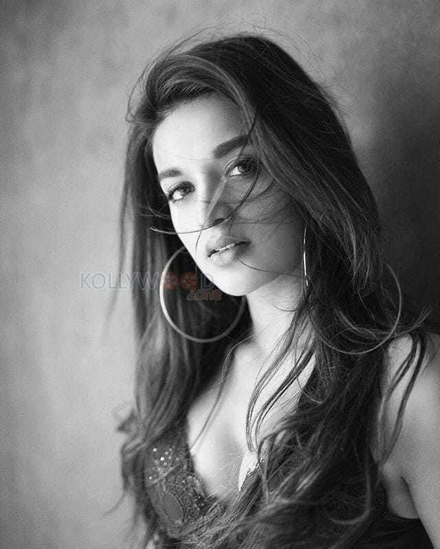 Actress Nidhhi Agerwal Sexy Pictures