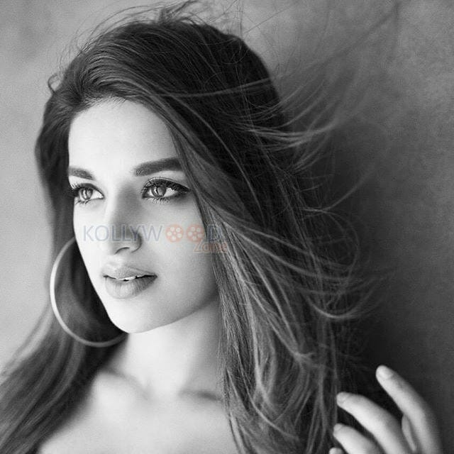 Actress Nidhhi Agerwal Sexy Pictures