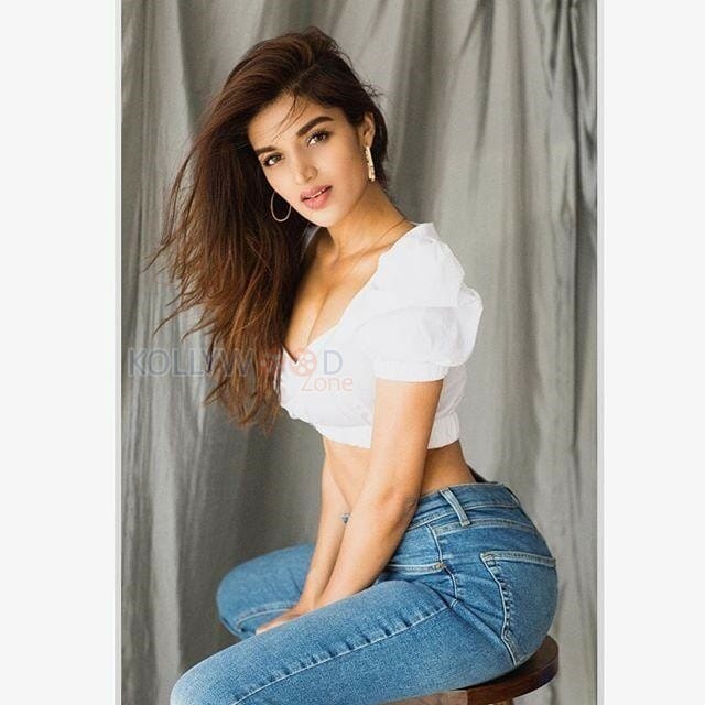 Actress Nidhhi Agerwal Sexy Pictures