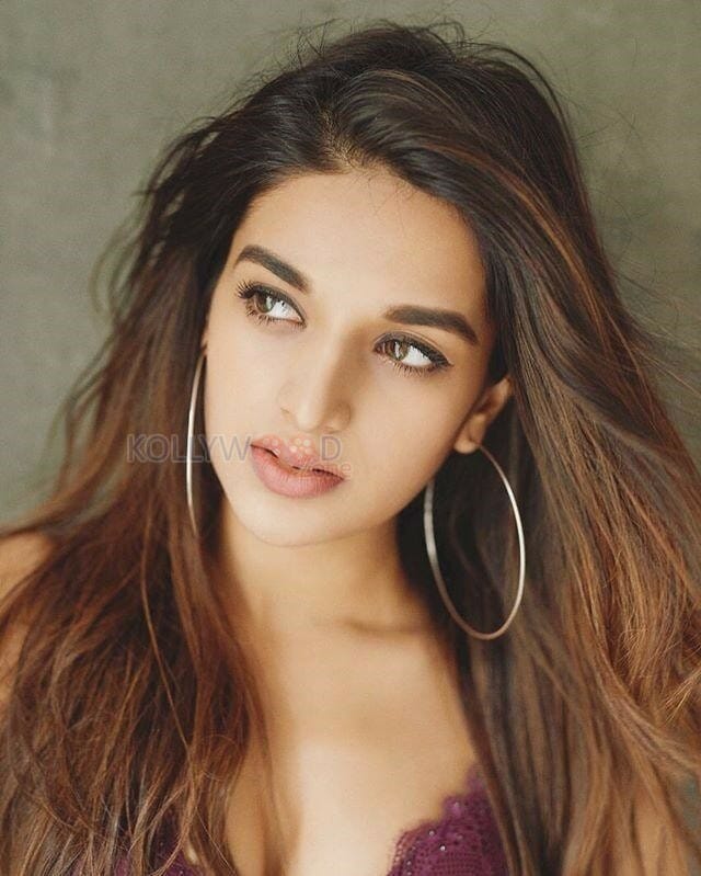 Actress Nidhhi Agerwal Sexy Pictures